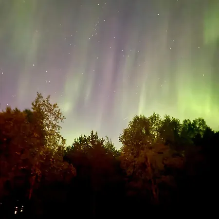 Upea Lapin Kulta Hirsihuvila Inarijaerven Rannalla Βίλα