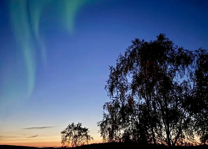 Upea Lapin Kulta Hirsihuvila Inarijaerven Rannalla Enare